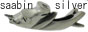 ｓａａｂｉｎ　ｓｉｌｖｅｒ